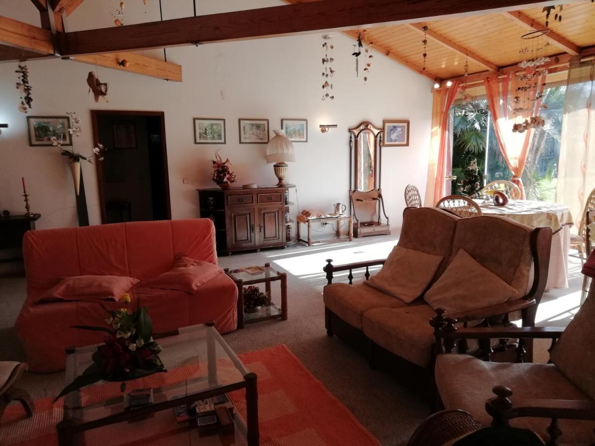 サンタ・マリア・ダ・フェイラ Casa Da Boavistaヴィラ エクステリア 写真